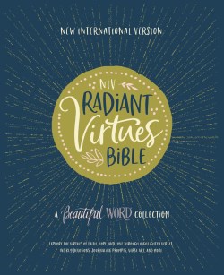 9780310456926 Radiant Virtues Bible A Beautiful Word Collection Comfort Print