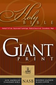 9780899579443 Giant Print Handy Size Bible