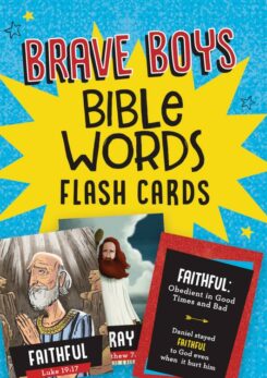 9781643527970 Brave Boys Bible Words Flash Cards