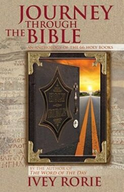 9781943852376 Journey Through The Bible