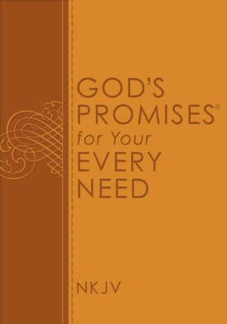9780529100801 Gods Promises For Your Every Need NJKV