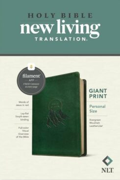 9781496467942 Personal Size Giant Print Bible Filament Enabled Edition