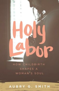 9781577997382 Holy Labor : How Childbirth Shapes A Woman's Soul