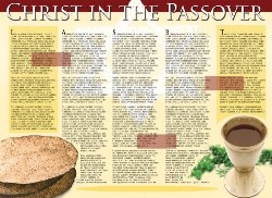 9781596361881 Christ In The Passover Wall Chart Laminated