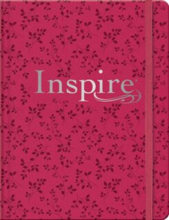 9781496474100 Inspire Bible Filament Enabled Edition