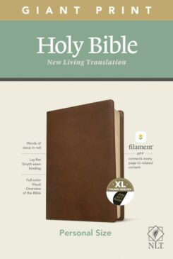 9781496445285 Personal Size Giant Print Bible Filament Enabled Edition