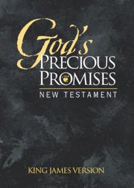 9780899579665 Gods Precious Promises New Testament