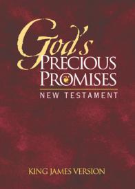 9780899579672 Gods Precious Promises New Testament