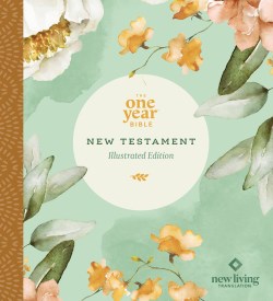 9781496478955 1 Year Bible New Testament Illustrated Edition