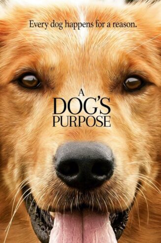 025192395543 Dogs Purpose : Every Dog Happens For A Purpose (DVD)