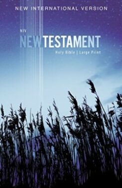9780310446439 Outreach New Testament Large Print
