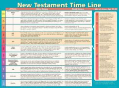 9789901980635 New Testament Time Line Wall Chart Laminated