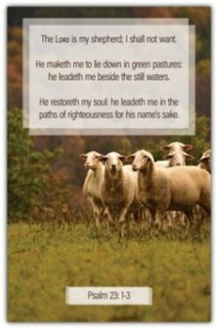081407457017 My Shepherd Psalm 23:1-3 KJV Pack Of 100