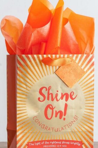 081983582325 Shine On Specialty Gift Bag