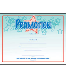 730817329055 Promotion Certificate