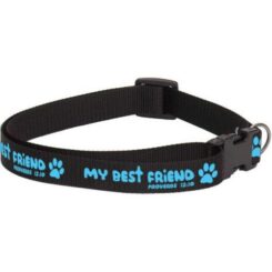 889901479371 My Best Friend Dog Collar