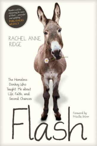 9781414397849 Flash : The Homeless Donkey Who Taught Me About Life Faith And Second Chanc