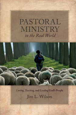 9781683592129 Pastoral Ministry In The Real World