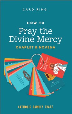 860007814020 Divine Mercy Chaplet And Novena Ring