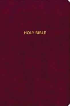 9781087782737 Rainbow Study Bible