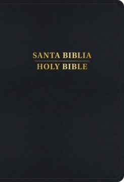 9798384500520 RVR 1960 KJV Bilingual Bible Large Print