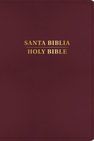 9798384500537 RVR 1960 KJV Bilingual Bible Large Print