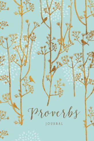 9781633261280 Proverbs Journal (Deluxe)