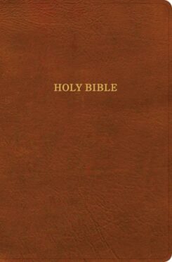 9798384501985 Giant Print Reference Bible