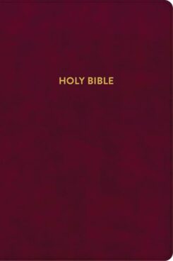 9781087782744 Rainbow Study Bible