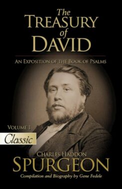 9781610369978 Treasury Of David Volume 1