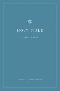 9781433558979 Economy Bible Giant Print