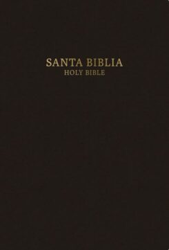 9781433619960 RVR 1960 KJV Bilingual Personal Size Bible