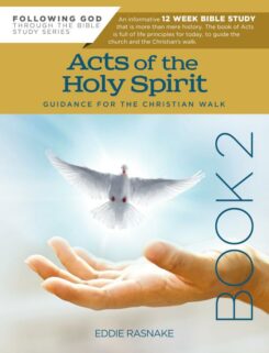 9781617155307 Acts Of The Holy Spirit Book 2