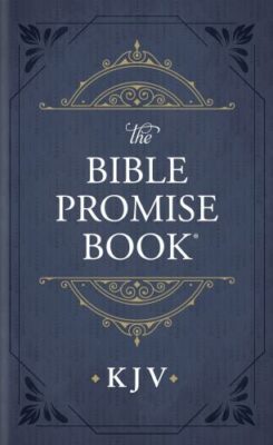 9781643529769 Bible Promise Book KJV