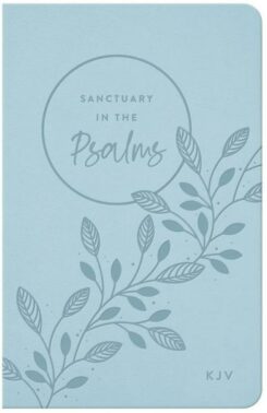 9781648704178 Sanctuary In The Psalms KJV