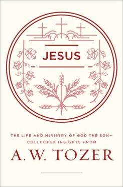 9780802415202 Jesus : The Life And Ministry Of God The Son Collected Insights From A W To