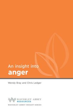 9781782597308 Insight Into Anger