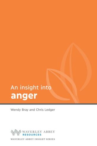 9781782597308 Insight Into Anger