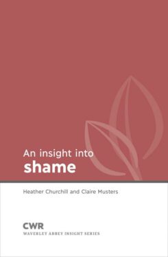 9781782599333 Insight Into Shame