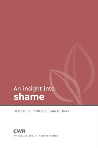 9781782599333 Insight Into Shame