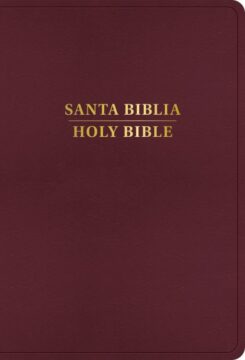 9798384500537 RVR 1960 KJV Bilingual Bible Large Print