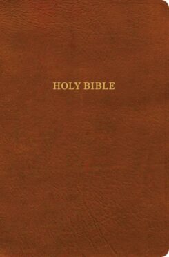 9798384501992 Giant Print Reference Bible