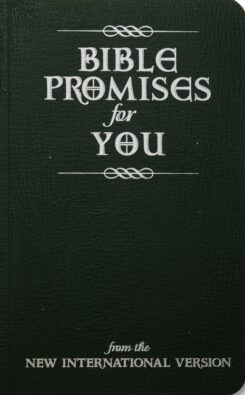 9780310803881 Bible Promises For You NIV