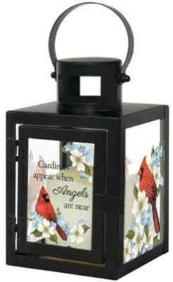 096069576198 Cardinals Appear Lantern