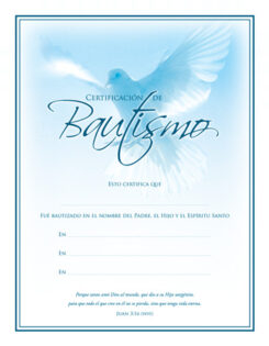 730817345154 Certificate Of Baptism