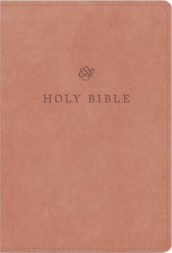 9781433595646 Large Print Compact Bible