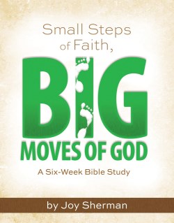 9781684345274 Small Steps Of Faith Big Moves Of God