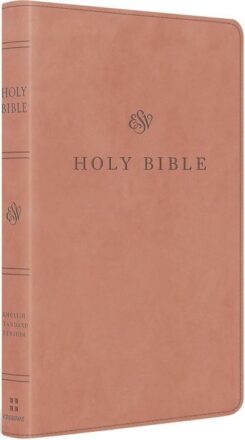 9798874900038 Premium Church Bible