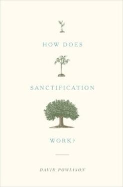 9781433556104 How Does Sanctification Work