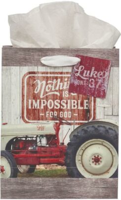1220000323919 Medium Portrait Inspirational Scripture Gift Bag